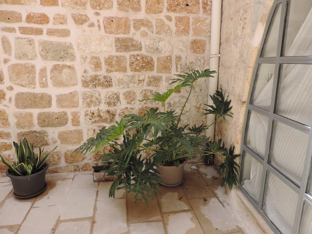 The Sultan House Villa Akko Eksteriør bilde